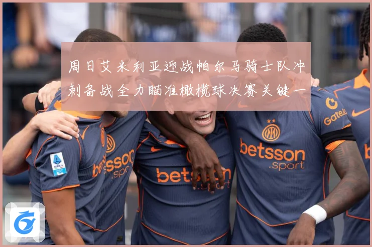 周日艾米利亚迎战帕尔马骑士队冲刺备战全力瞄准橄榄球决赛关键一成长观察：最新赛事动态与深度分析