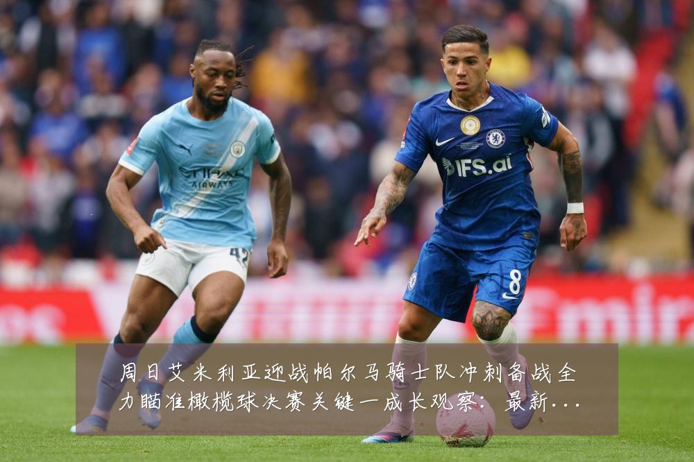 周日艾米利亚迎战帕尔马骑士队冲刺备战全力瞄准橄榄球决赛关键一成长观察:最新赛事动态与深度分析